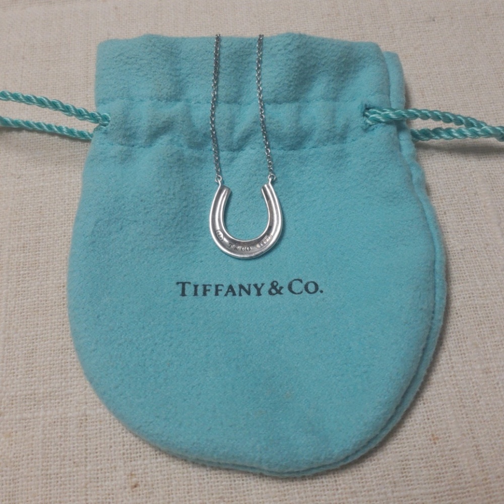 Tiffany & Co. Horseshoe Necklace